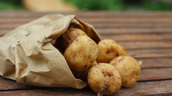 Nejlepší recepty z brambor