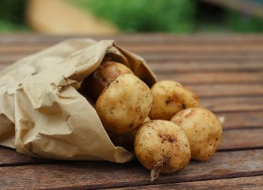 Nejlepší recepty z brambor