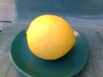 Žloutkový citronový krém