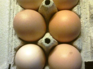 Horčicová vajíčková pomazánka