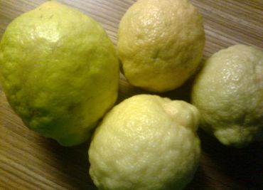 Domácí citrónová šťáva