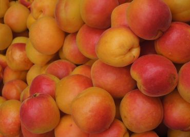 Ovocný koktejl např. meruňkový