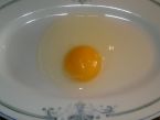 Clebík ve vajíčku