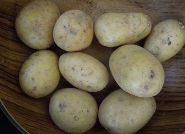 Pikantní bramborový salát s rukolou