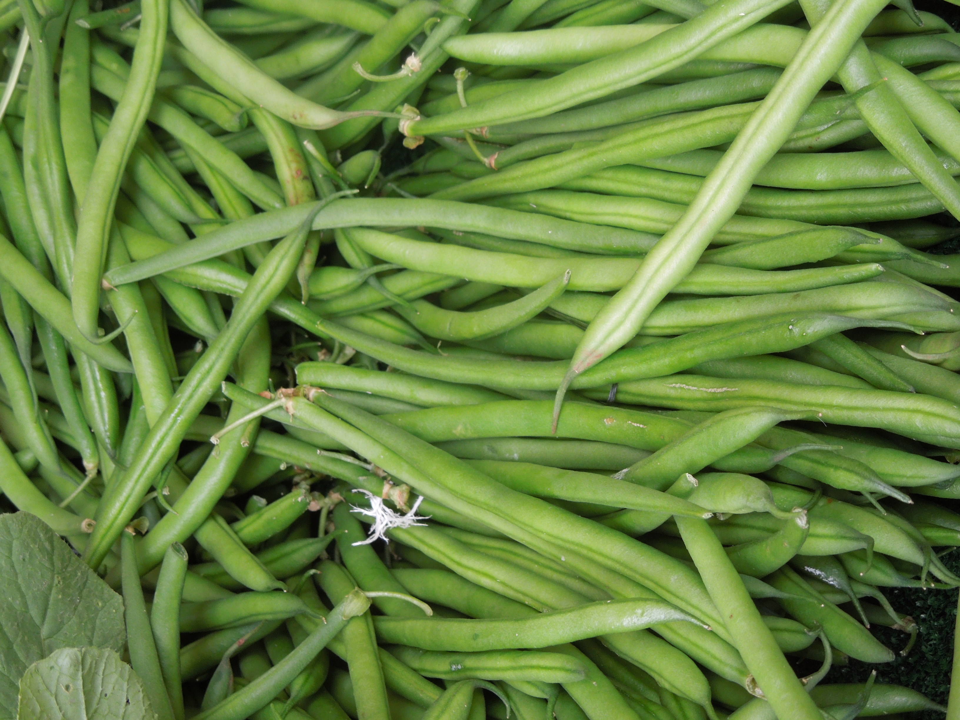 Recept Zelené fazolky Tradičnírecepty.cz