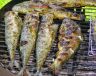 Pstruh na grilu recept (po mlynářsku)