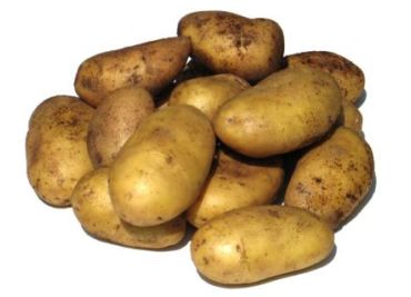 Žebrácké brambory