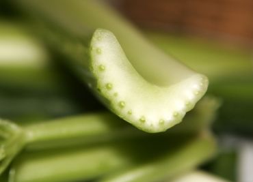 Celer zapékaný