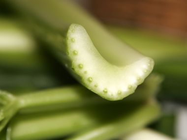 Celer zapékaný