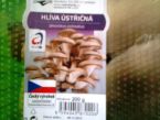 Hlíva ústřičná jako řízek dle babičky