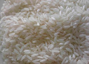 Bílá rýže