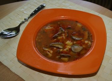 Přírodní houbová polévka(jemná)