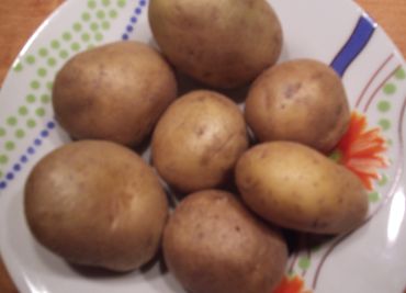Gazdovské zemiaky s brynzou