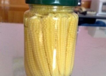 Sterilovaná mladá kukuřice