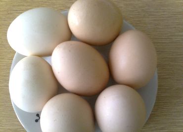 Jarní vejce