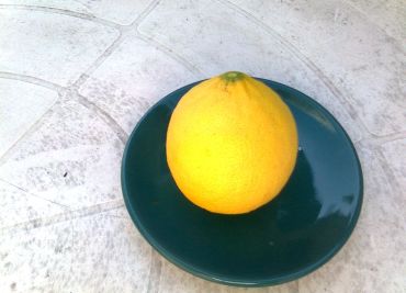 Osvěžující domácí citronáda