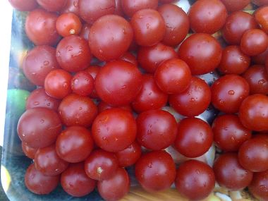 Filé s rajčaty