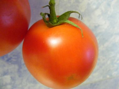 Plněná rajčata po řecku