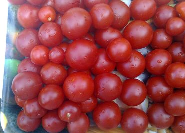 Plněná rajčata vaječnou pěnou
