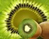 Kiwi v bílé peřince