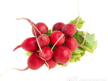 Ředkvičkový salát s jogurtem