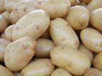 Plněné brambory se šunkou