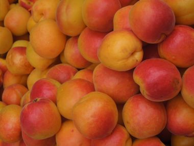 Ovocný koktejl např. meruňkový