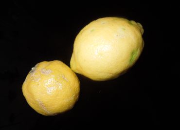 Citronová poleva - lesklá