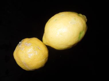Citronová poleva - lesklá