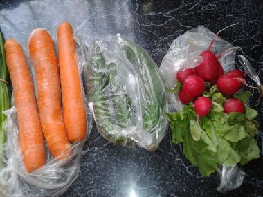 Zeleninový salátek od Dašky