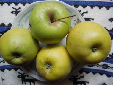 Jablková žemlovka