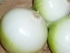 Cibule opékaná