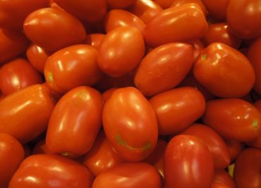 Smažená rajčata