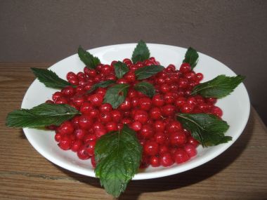 Rybízové želé