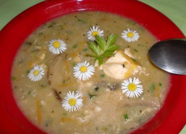 Sedmikrásková polévka