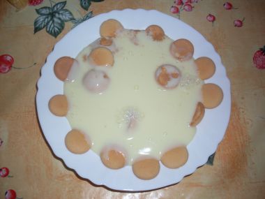 Vanilkový puding