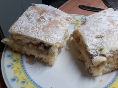 RYCHLA KYSNUTÁ BUCHTA