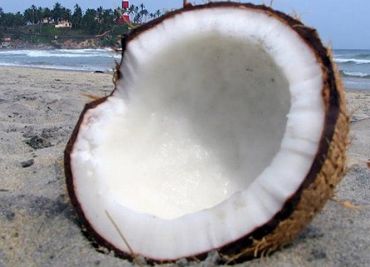 Domácí kokosky