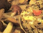 Těstoviny s houbami a pečeným masem