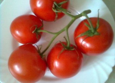 Drožďová pomazánka s rajčaty