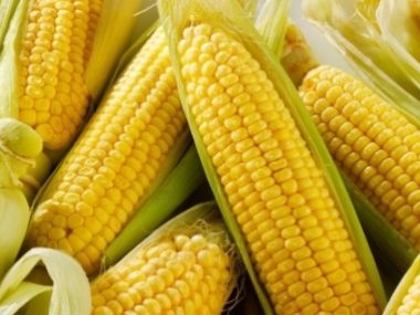Dušená kukuřice