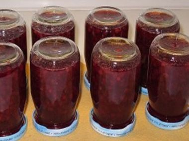 Pikantní rybíz (náhrada za brusinky)