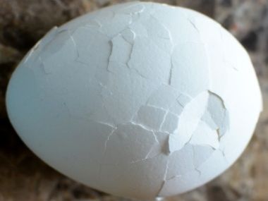 Velikonoční mramorová vejce