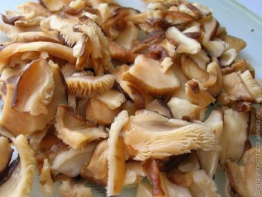 Shiitake salát